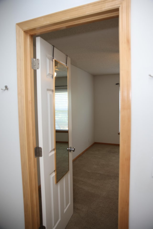 2690 Pinkspire Ln E, Maplewood, MN 55119 - corridor featuring carpet floors and baseboards