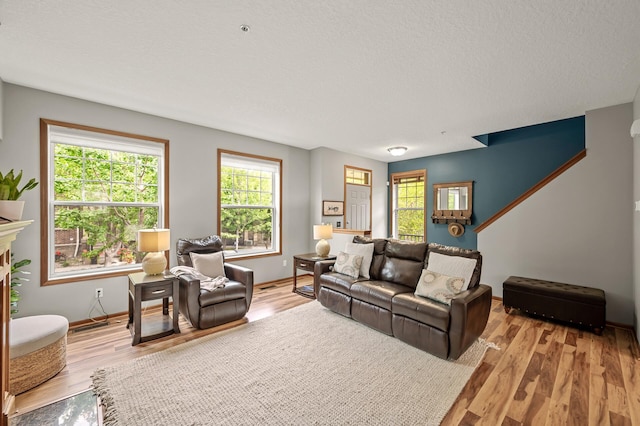 8291 Labont Way, Eden Prairie, MN 55344 - living room featuring healthy amount of natural light, wood finished floors, and a textured ceiling