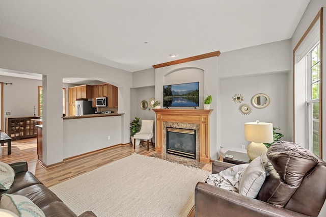 8291 Labont Way, Eden Prairie, MN 55344 - living area featuring light wood finished floors, a premium fireplace, and arched walkways
