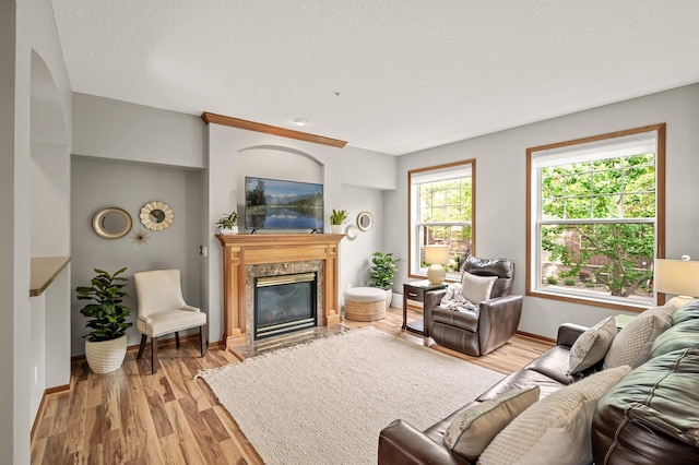 8291 Labont Way, Eden Prairie, MN 55344 - living area featuring a high end fireplace and light wood finished floors