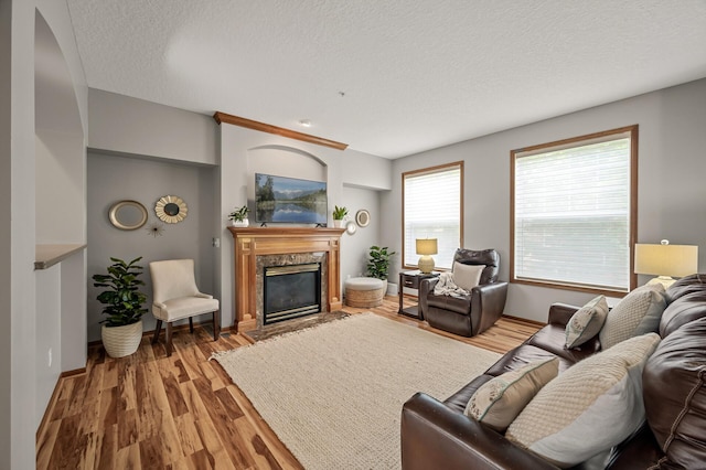 8291 Labont Way, Eden Prairie, MN 55344 - living room featuring a fireplace, a textured ceiling, and wood finished floors
