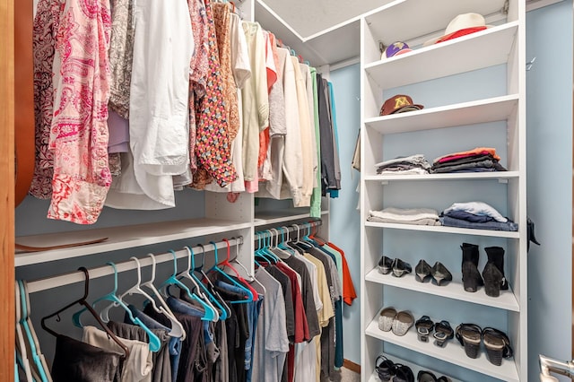 8291 Labont Way, Eden Prairie, MN 55344 - view of walk in closet