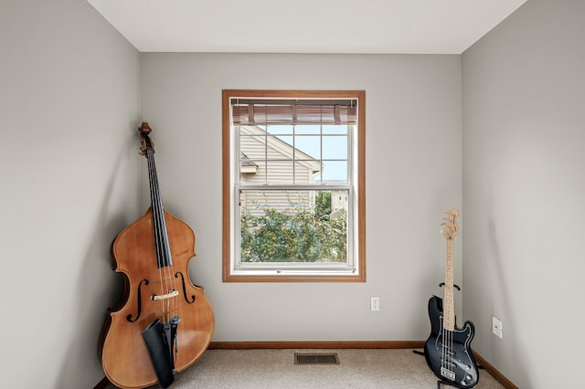 8291 Labont Way, Eden Prairie, MN 55344 - detailed view of baseboards and carpet floors