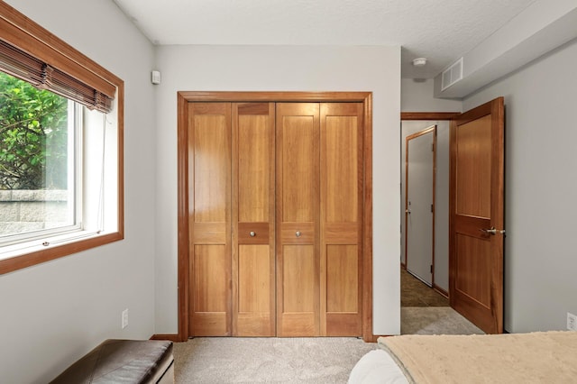 8291 Labont Way, Eden Prairie, MN 55344 - bedroom featuring carpet and a closet