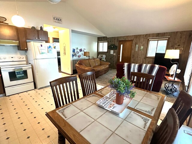 10285 237th Ave, Spirit Lake, IA 51360 - dining area with wooden walls, plenty of natural light, lofted ceiling, and light flooring