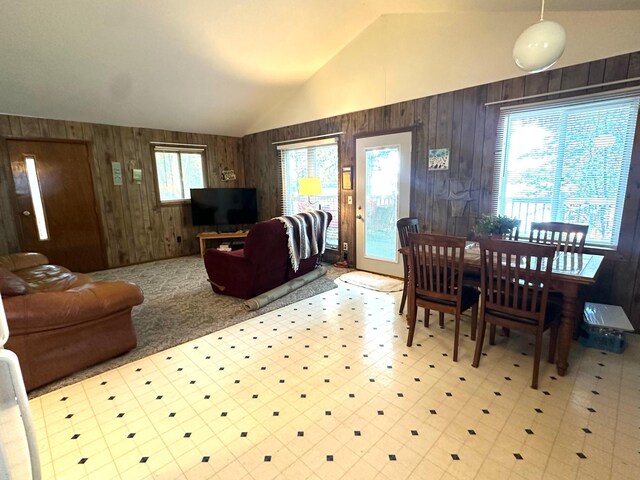10285 237th Ave, Spirit Lake, IA 51360 - living room with wood walls, vaulted ceiling, and tile patterned floors