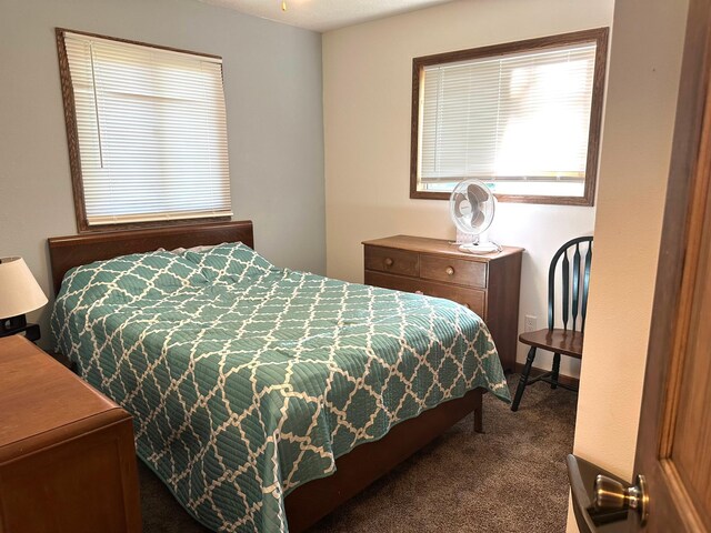 10285 237th Ave, Spirit Lake, IA 51360 - bedroom with dark colored carpet and multiple windows