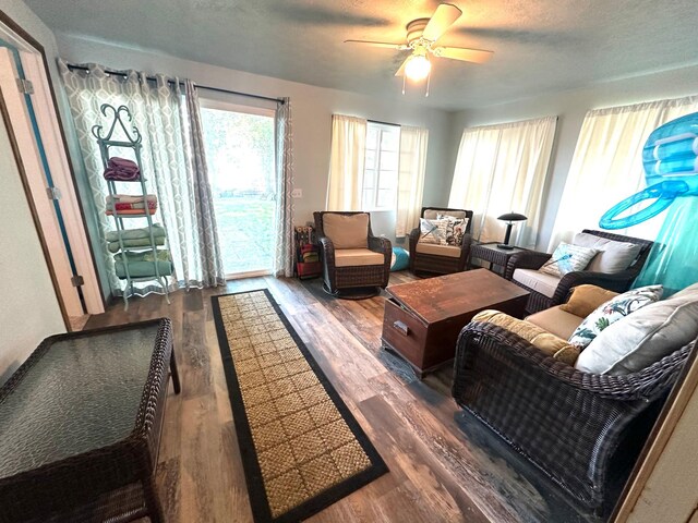 10285 237th Ave, Spirit Lake, IA 51360 - living room with wood finished floors, a ceiling fan, healthy amount of natural light, and a textured ceiling
