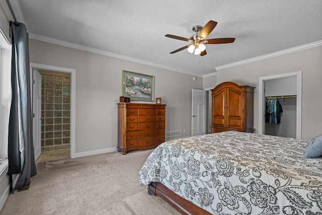 10972 255th Ave NW, Livonia Twp, MN 55398 - photo 19