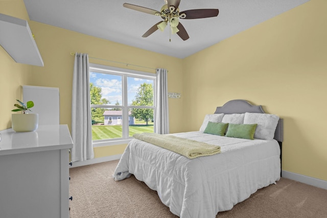 10972 255th Ave NW, Livonia Twp, MN 55398 - photo 24