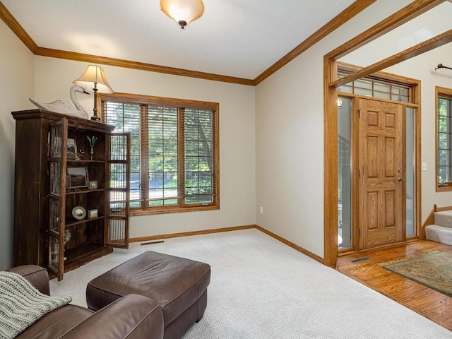 2307 150th Ave NW, Andover, MN 55304 - photo 14
