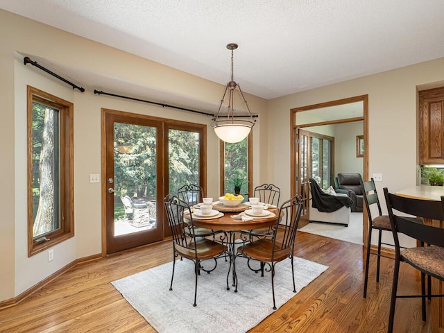 2307 150th Ave NW, Andover, MN 55304 - photo 20