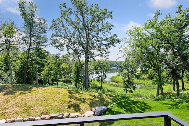 4725 Linden Cove Ln, Savage, MN 55378 - photo 53