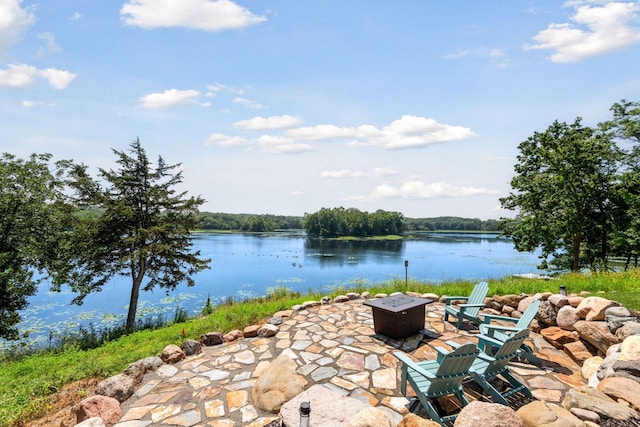 4725 Linden Cove Ln, Savage, MN 55378 - photo 61