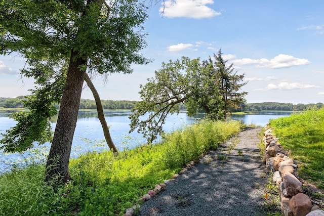4725 Linden Cove Ln, Savage, MN 55378 - photo 62