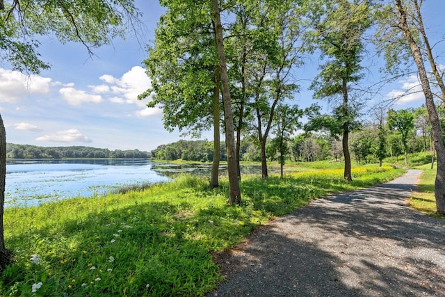 4725 Linden Cove Ln, Savage, MN 55378 - photo 63