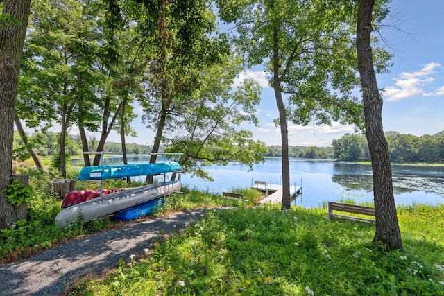 4725 Linden Cove Ln, Savage, MN 55378 - photo 64