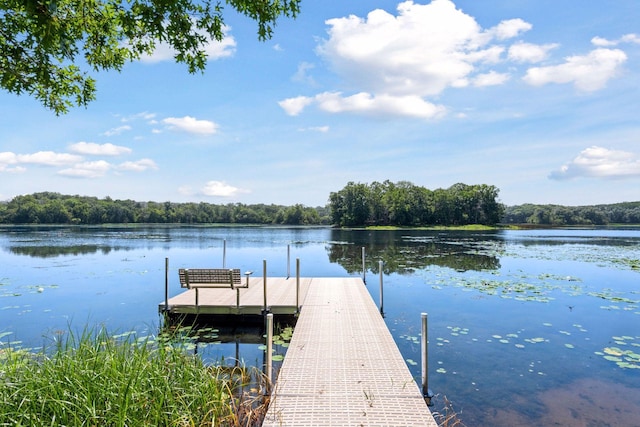 4725 Linden Cove Ln, Savage, MN 55378 - photo 65