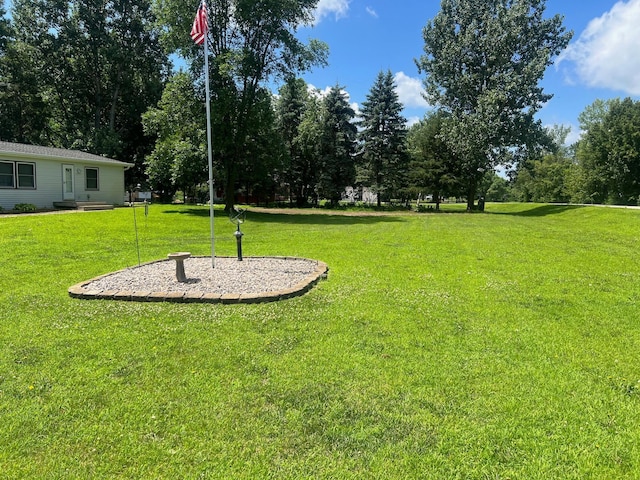 62871 230th St, Litchfield, MN 55355 - view of green lawn
