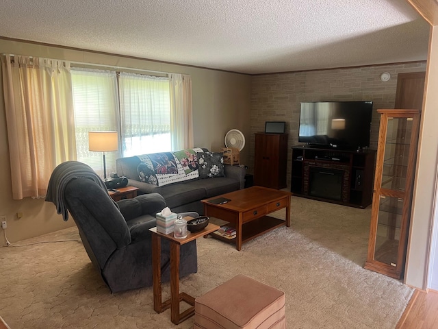 62871 230th St, Litchfield, MN 55355 - carpeted living room with a textured ceiling and a fireplace