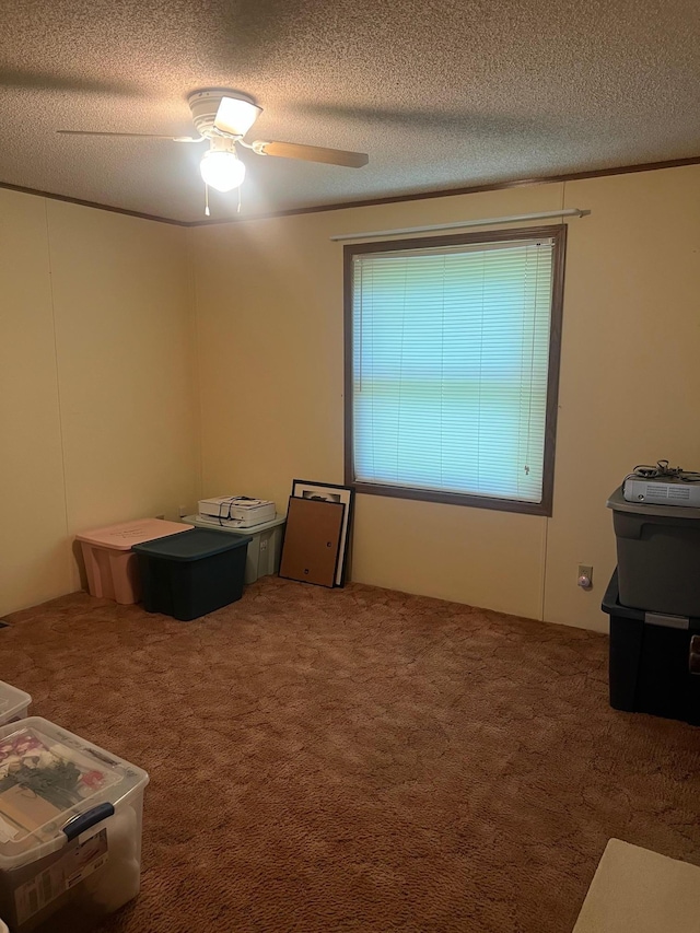 62871 230th St, Litchfield, MN 55355 - carpeted bedroom with a textured ceiling and a ceiling fan