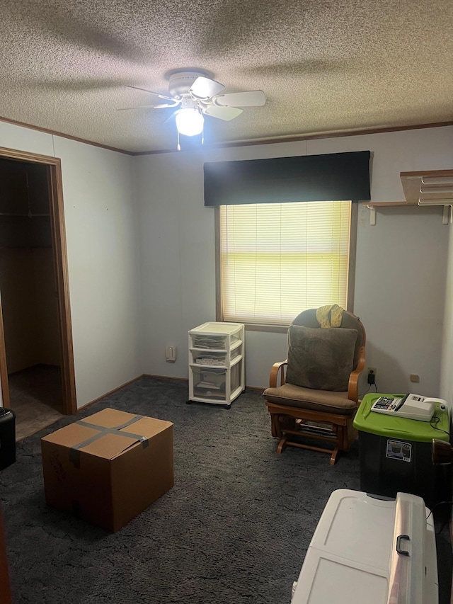 62871 230th St, Litchfield, MN 55355 - living area with a ceiling fan, a textured ceiling, and carpet floors