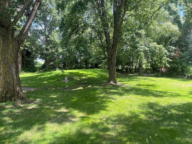 62871 230th St, Litchfield, MN 55355 - view of grassy yard