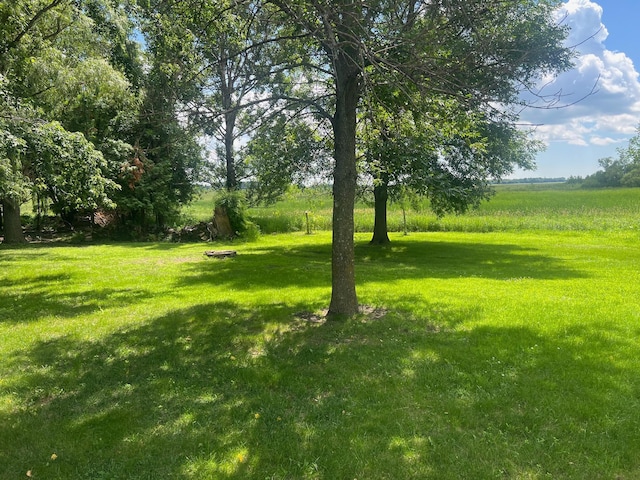 62871 230th St, Litchfield, MN 55355 - view of green lawn