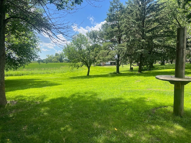 62871 230th St, Litchfield, MN 55355 - view of green lawn