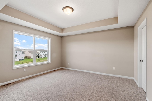 17233 61st St NE, Otsego, MN 55374 - empty room with carpet flooring and a tray ceiling