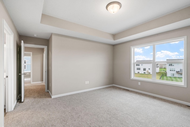 17233 61st St NE, Otsego, MN 55374 - empty room with light colored carpet and a raised ceiling