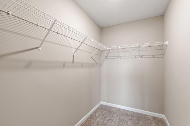 17233 61st St NE, Otsego, MN 55374 - walk in closet with carpet