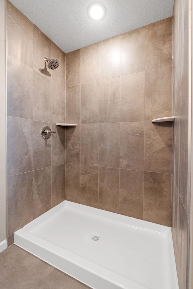 17233 61st St NE, Otsego, MN 55374 - full bath with tiled shower and a textured ceiling