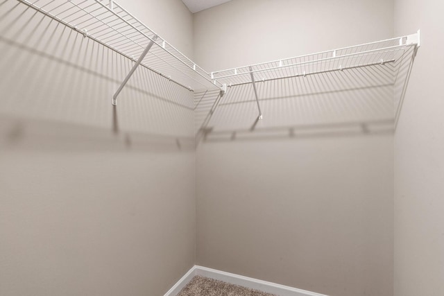 17233 61st St NE, Otsego, MN 55374 - walk in closet with carpet floors