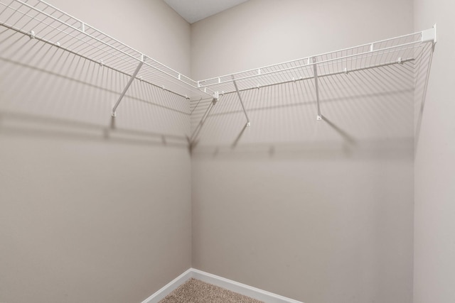 17233 61st St NE, Otsego, MN 55374 - walk in closet with carpet floors