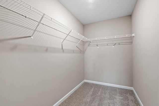 17233 61st St NE, Otsego, MN 55374 - spacious closet featuring carpet floors