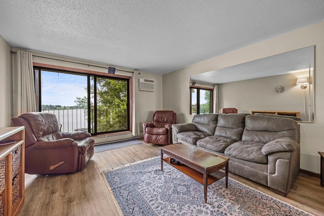 30675 Park St Unit 209, Lindstrom, MN 55045 - living area featuring wood finished floors, an AC wall unit, a textured ceiling, and a water view
