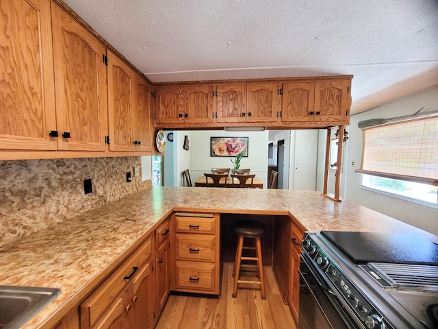 39471 Clitherall Lake Rd, Clitherall Twp, MN 56515 - photo 17