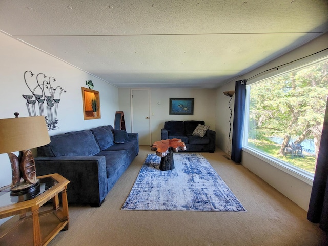 39471 Clitherall Lake Rd, Clitherall Twp, MN 56515 - photo 24