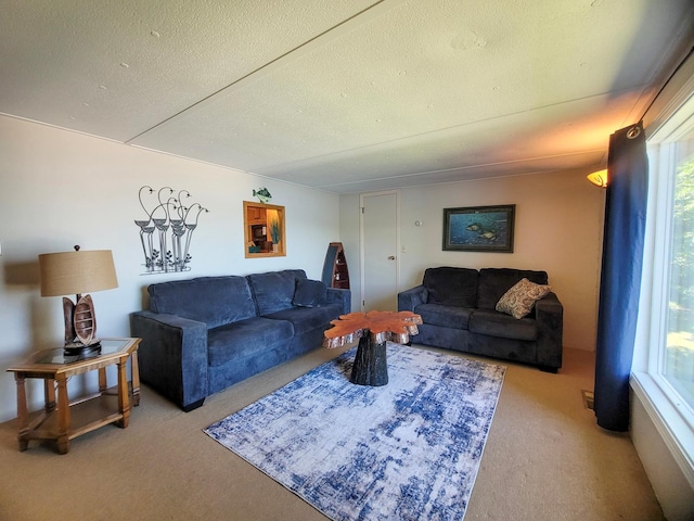 39471 Clitherall Lake Rd, Clitherall Twp, MN 56515 - photo 25