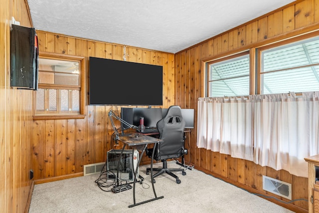 1108 4th Ave SW, Austin, MN 55912 - photo 11