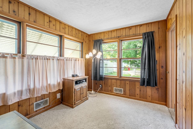 1108 4th Ave SW, Austin, MN 55912 - photo 34