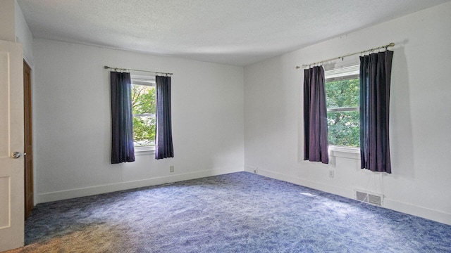 507 15th St SE, Menomonie, WI 54751 - unfurnished room featuring healthy amount of natural light, carpet floors, and a textured ceiling