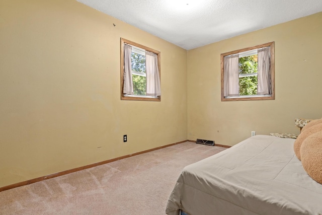 5781 Needham Ave NE, Saint Michael, MN 55376 - carpeted bedroom featuring multiple windows and a textured ceiling