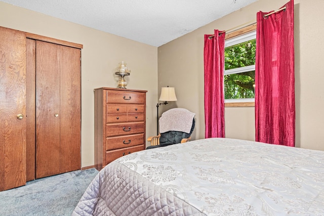 5781 Needham Ave NE, Saint Michael, MN 55376 - bedroom featuring carpet and a closet