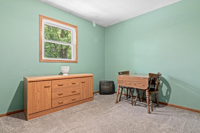 5781 Needham Ave NE, Saint Michael, MN 55376 - office with light carpet and a textured ceiling