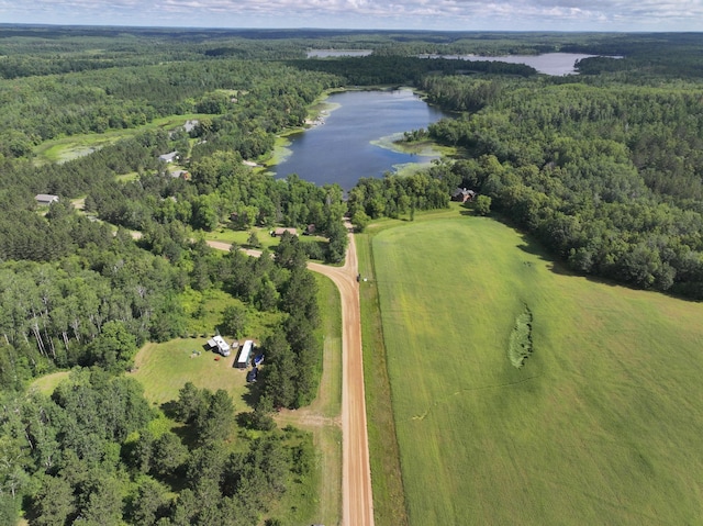 TBD Wilderness Bay Drive, Park Rapids, MN 56470 - photo 12