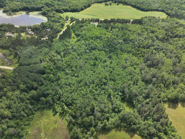 TBD Wilderness Bay Drive, Park Rapids, MN 56470 - photo 18