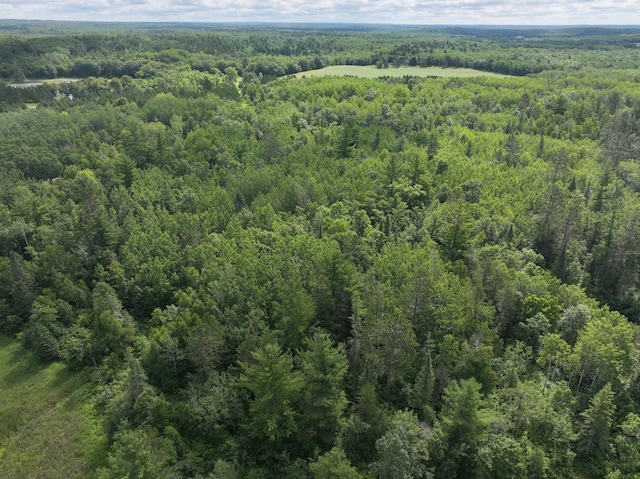 TBD Wilderness Bay Drive, Park Rapids, MN 56470 - photo 19