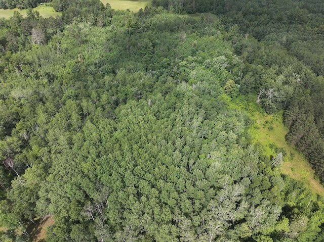TBD Wilderness Bay Drive, Park Rapids, MN 56470 - photo 20